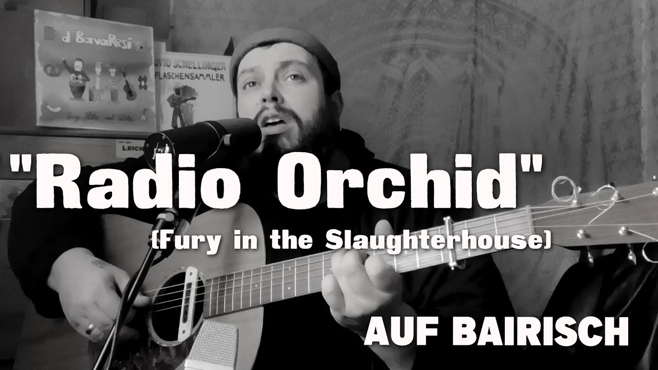 RADIO ORCHID (Fury in the Slaughterhouse) auf BAIRISCH