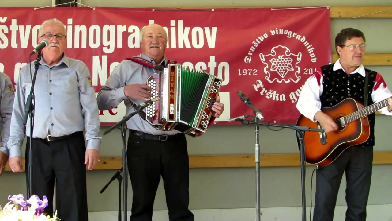 Društvo harmonikarjev Mirna Peč - Muzikant (v živo)
