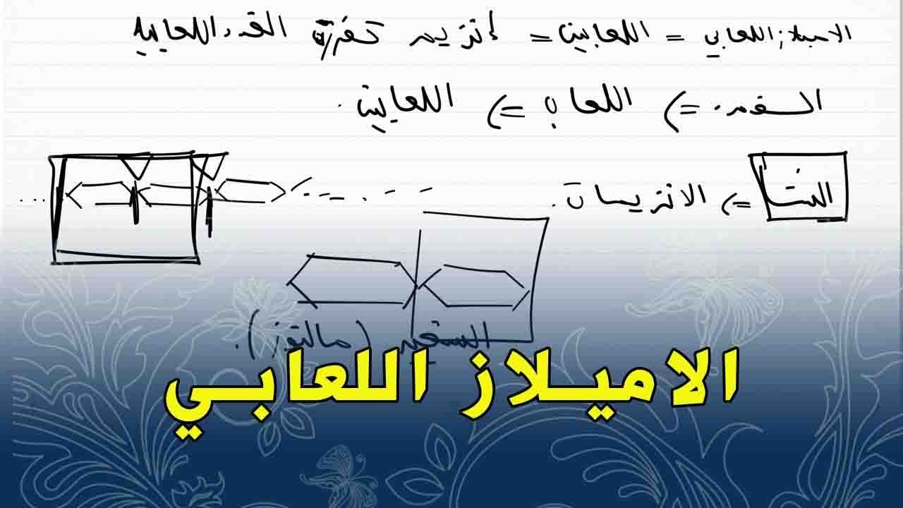 ما هو الاميلاز اللعابي؟و ماذا يفكك؟