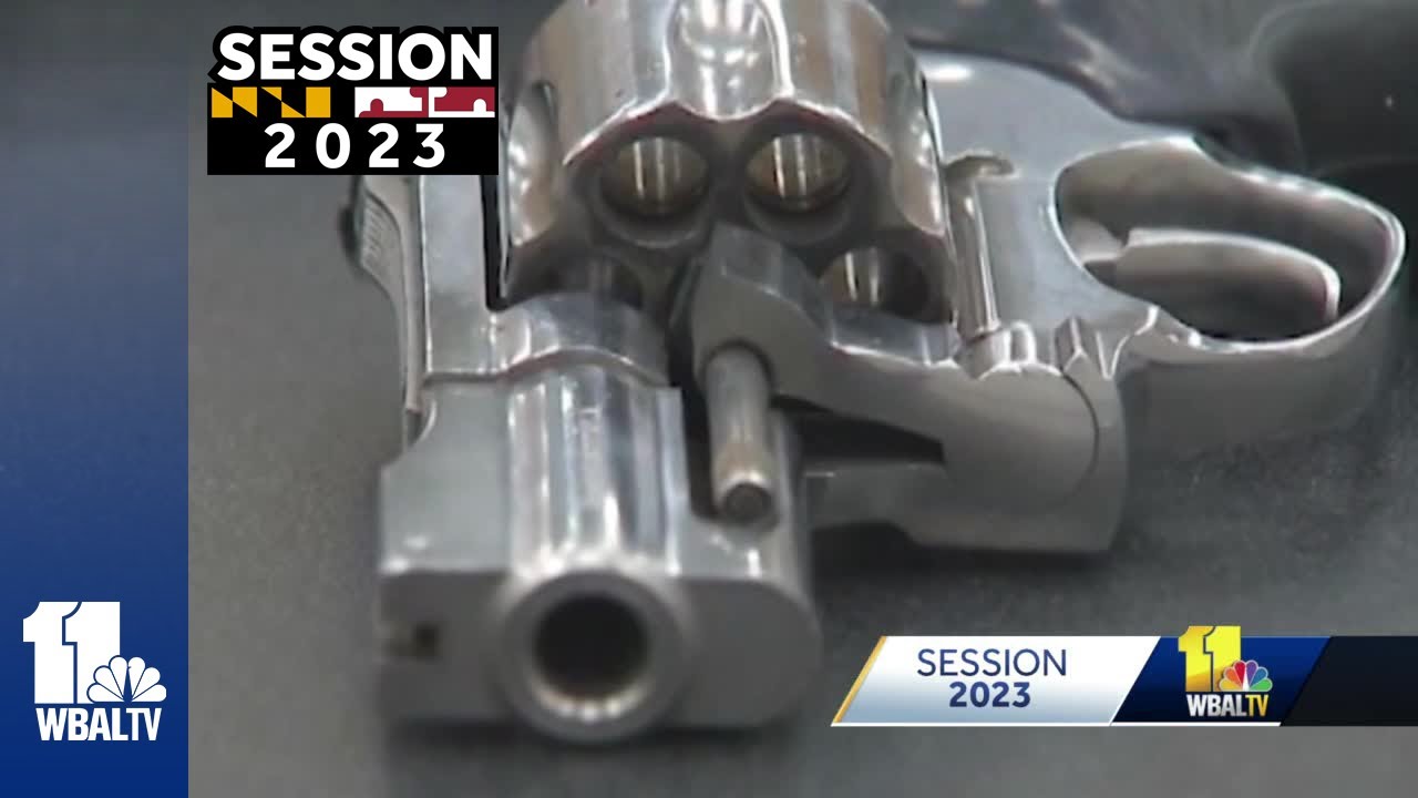 Series of gun bills introduced at Session 2023