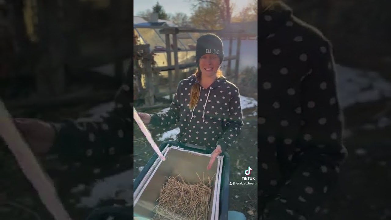 How to Keep Feral Cats Warm in the Winter