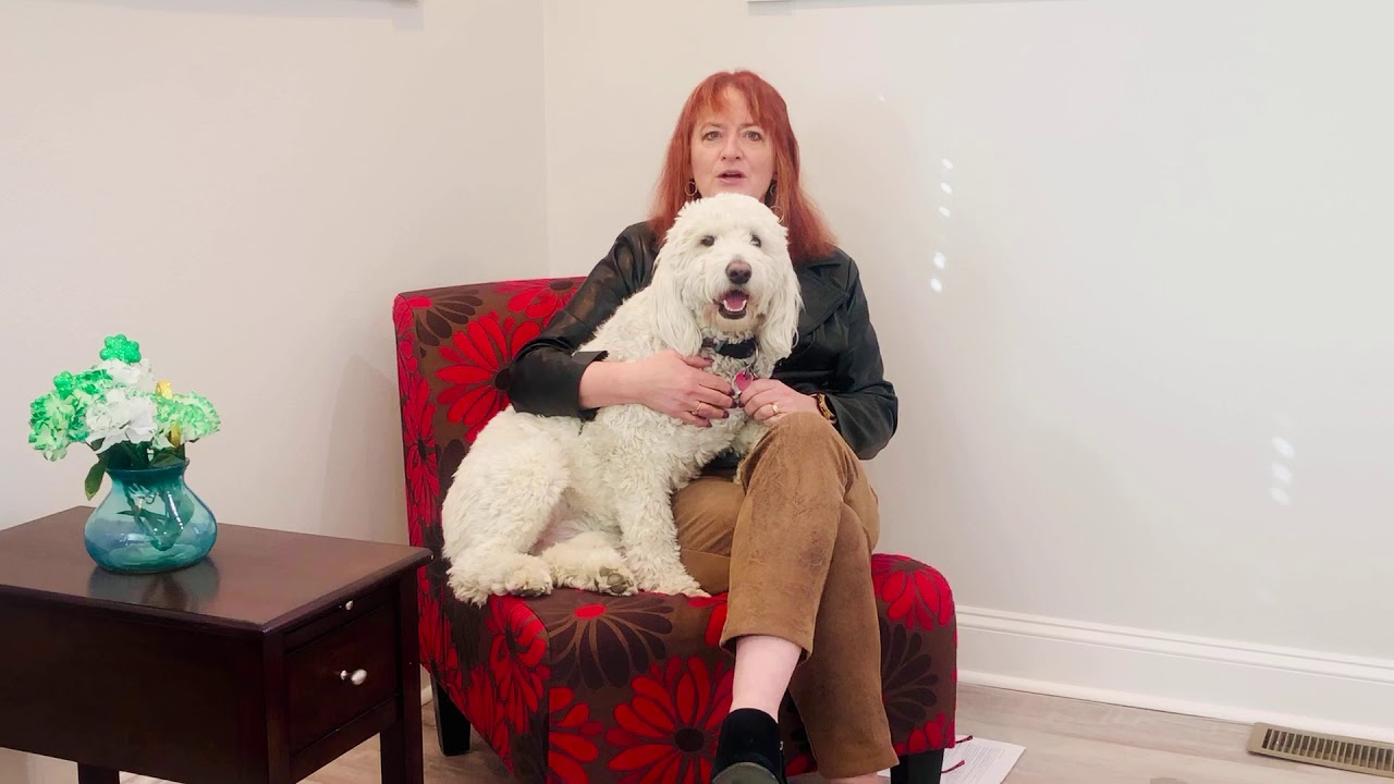 Sophie's Corner Episode 1: The Payroll Protection Program Deadline Is Approaching