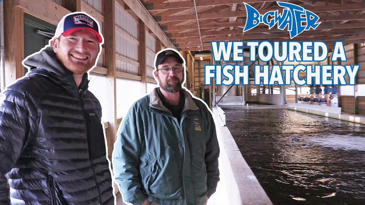 Castalia Fish Hatchery Tour