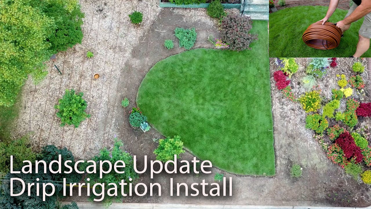 Drip Irrigation Install - Landscape Update
