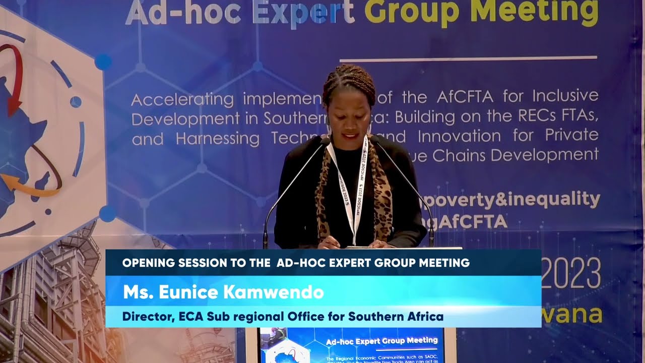 The 29th Ad Hoc Expert Group Meeting (AEGM) Opening Session, 2023.