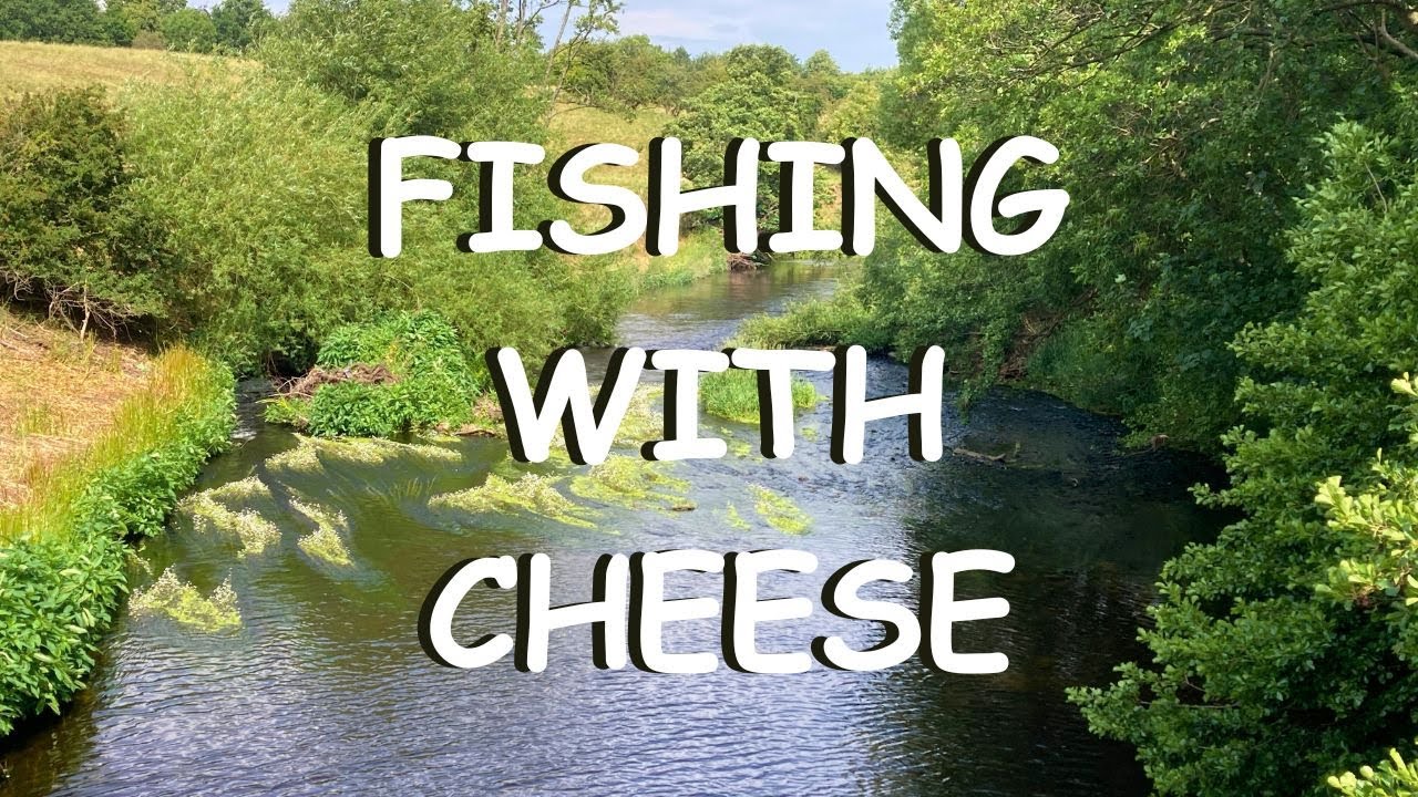 Ep 66 - Barbel Fishing and Wildlife on the River Nidd