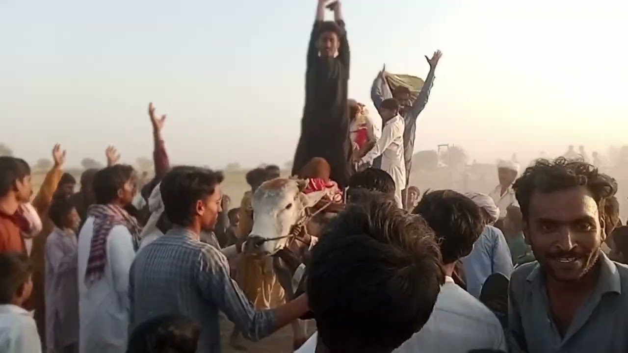 Bailon ka jalsa bahawalpur