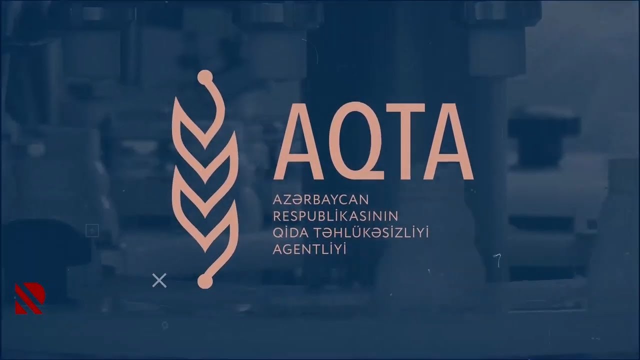 Şəkərin tarixi və zərərləri | Realda Qida #76
