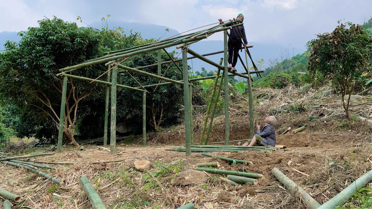 Building a Bamboo House in the Forest with My 80-Year-Old Paralyzed Father - Striving for a New Life