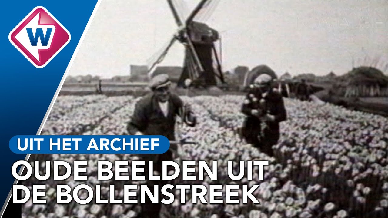 De Bollenstreek in andere tijden: terug naar de jaren '30 en '40 - OMROEP WEST