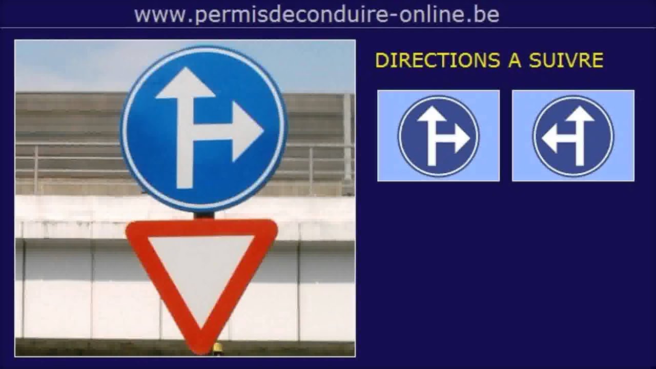 24. DIRECTION OBLIGATOIRE -- VOIE A SENS UNIQUE