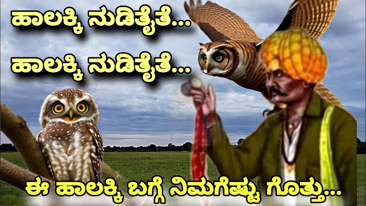 Mysterious secrets of ಹಾಲಕ್ಕಿ || Spotted Owlet Information in Kannada