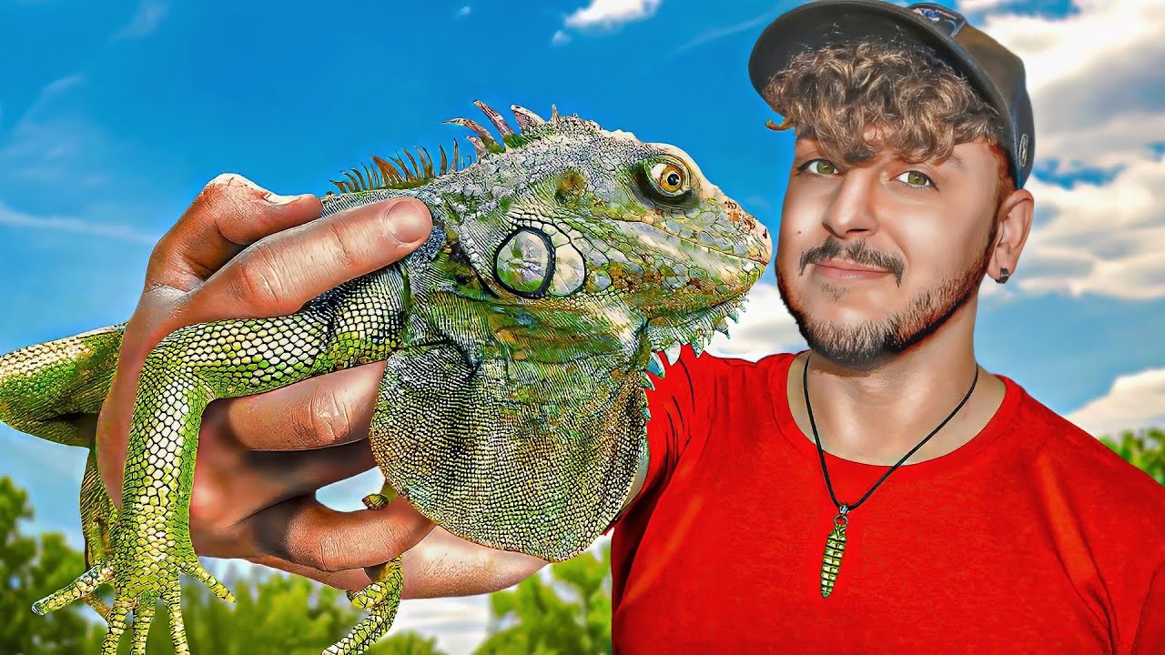Rescatamos a +400 Animales Exóticos