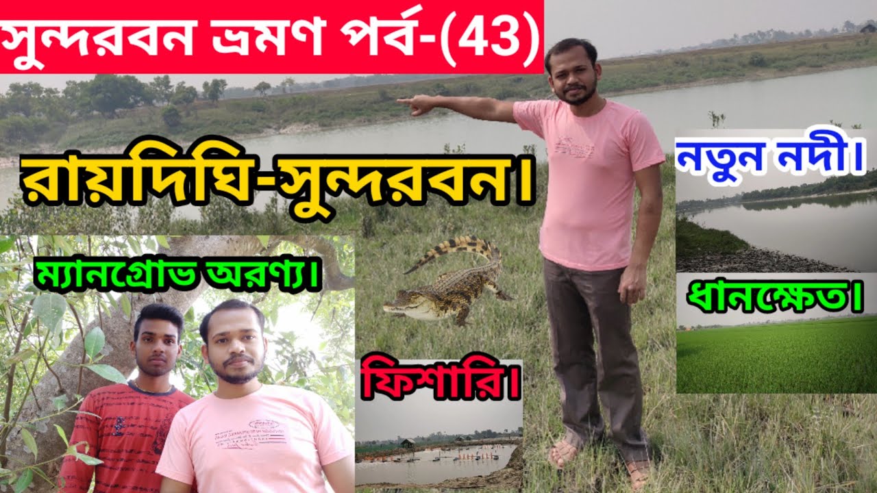 Raidighi Sundarban Travel।। Cultivated Fields ।। Mangrove Forest ।। New River ।। Fishery।। পর্ব-(43)