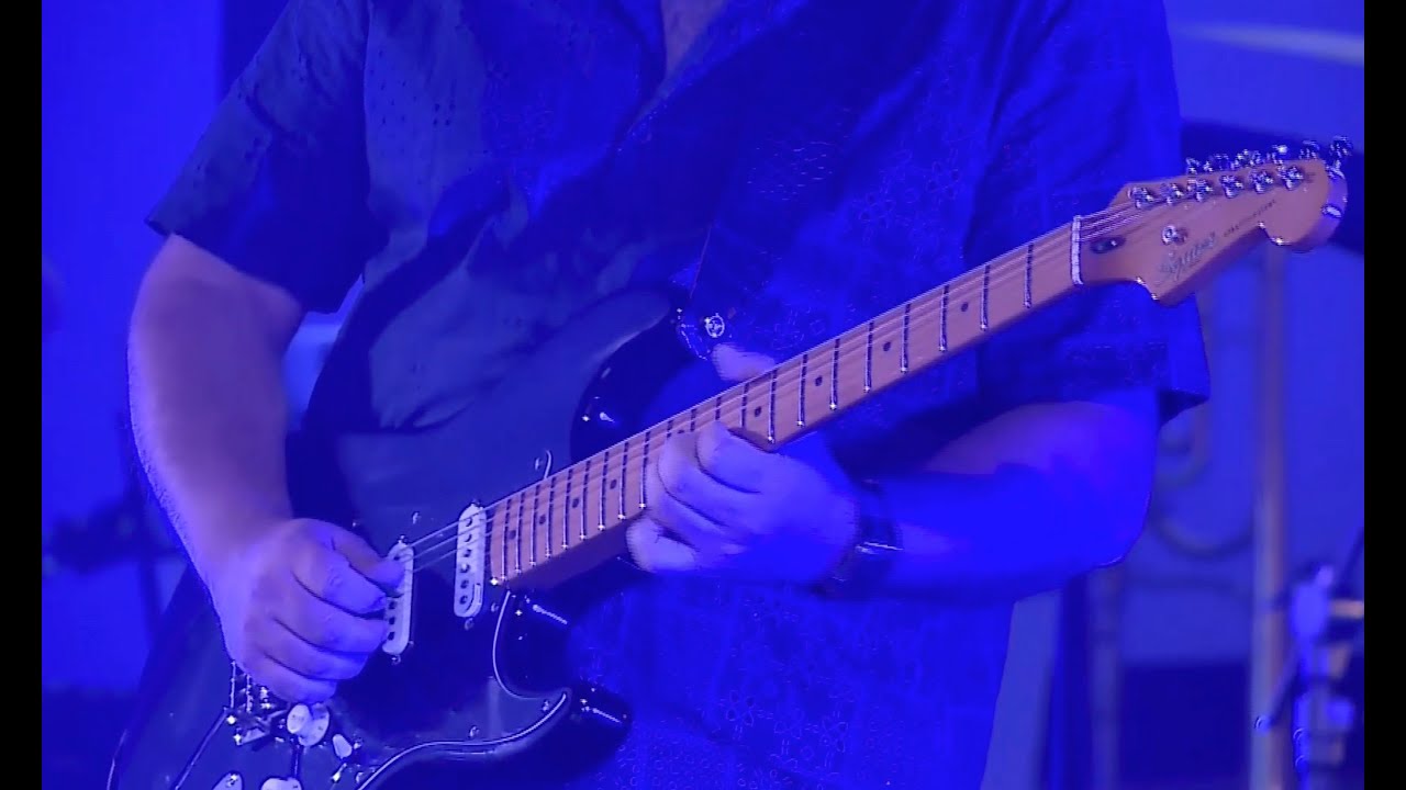 Shine On You Crazy Diamond (Pink Floyd cover) - by Max Bonfry & Ass.Sgrintèla
