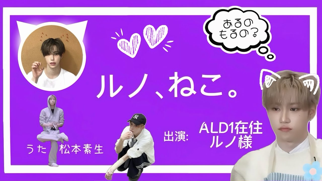 【ALD1】　癒され動画　「ルノ、ねこ。」　#alphadriveone #알파드라이브원 #arno #아르노 #jiahao #지아하오 