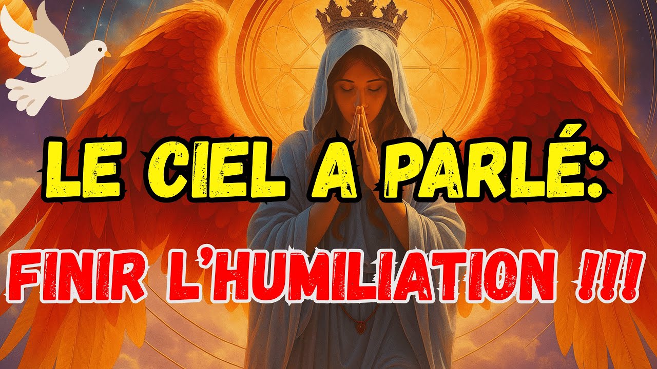 ÉLU, LE JUGE EST PRÊT À PORTER SON JUGEMENT SUR VOUS — VOUS ÊTES MAINTENANT DE HAUT NIVEAU ⚖️🔥