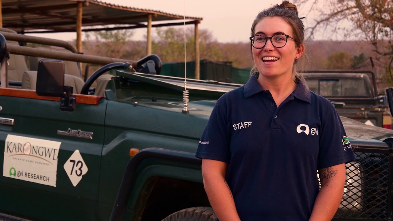 What are lodges and organisations looking for in a field guide
