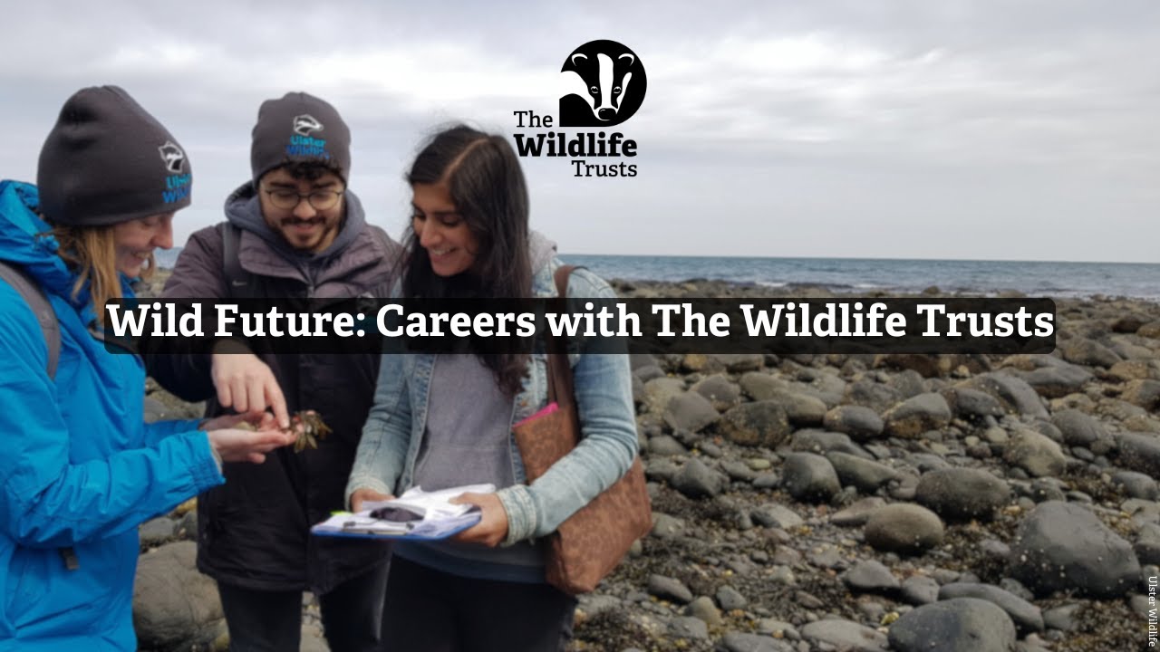 Wild Future: Careers with The WildlifeTrusts