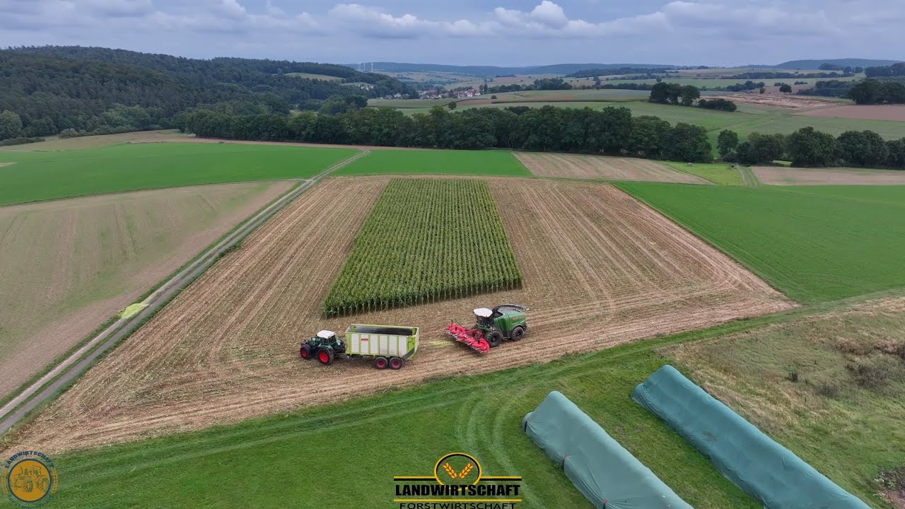 In 7 Minuten ist das Stück ab! Fendt 650 Katana in der Maisernte in NRW Maishäckseln Mais für Futter