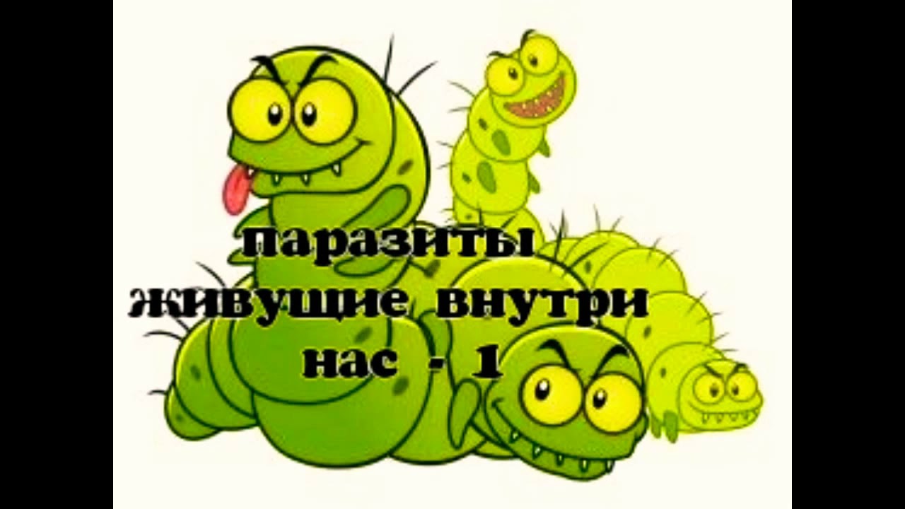 Паразиты живущие внутри нас  -  1 часть     (  ЛЕНЬ )