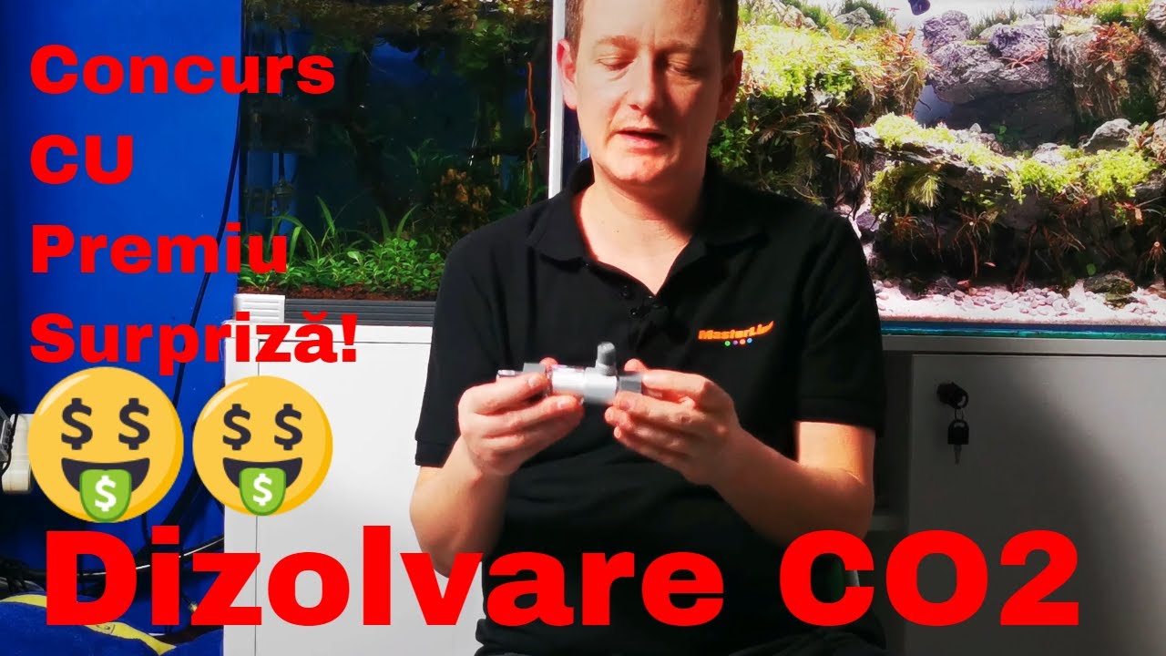 p6 START GIVEAWAY dizolvarea co2 într un acvariu plantat.