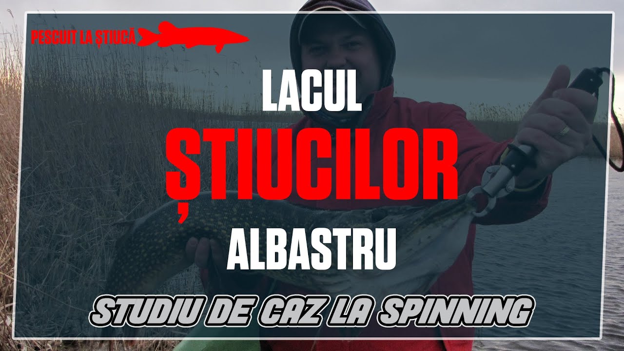 Lacul stiucilor albastru - Un pescuit pe incinta de la Holbina Trei Bibani