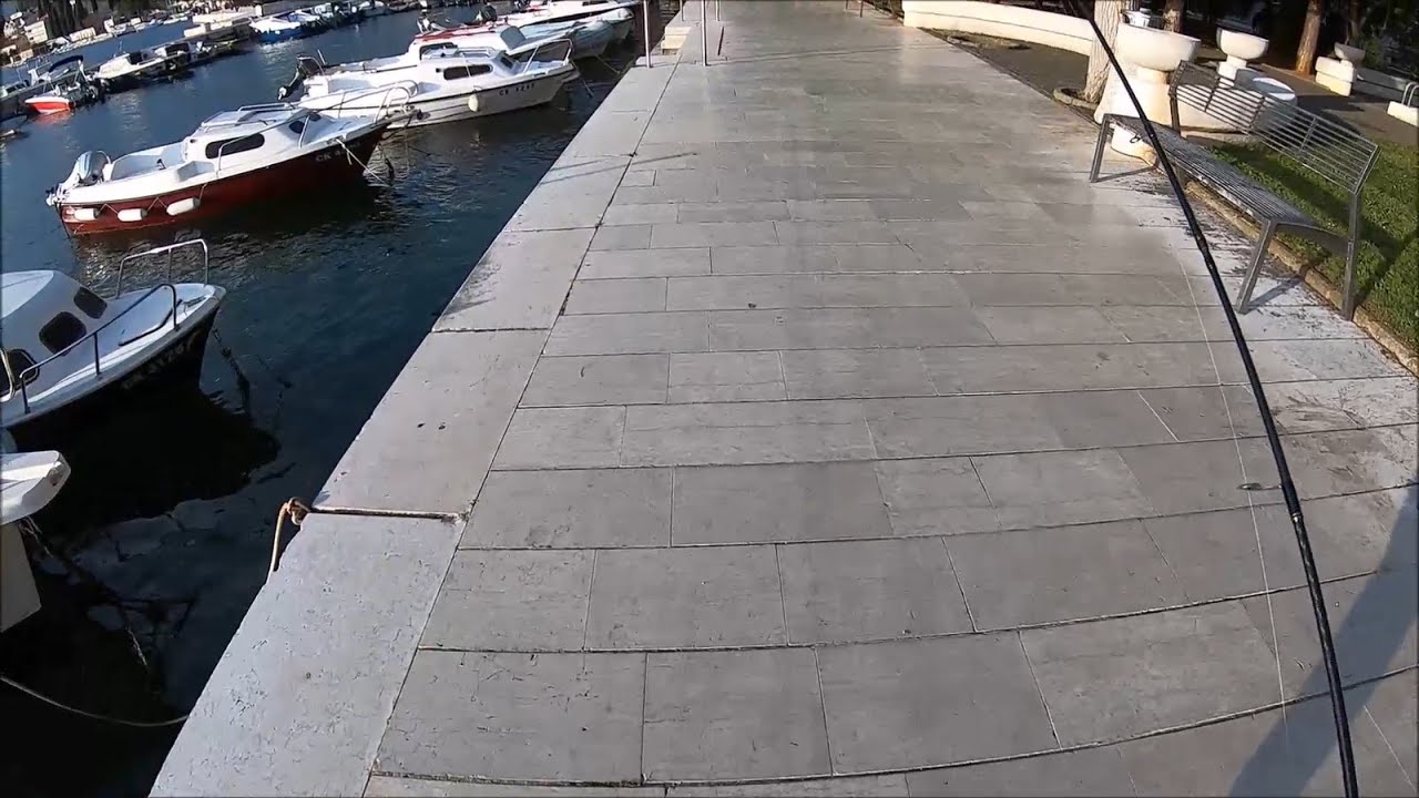 How to catch Aji (Horse mackerel) during the day Adriatic Sea