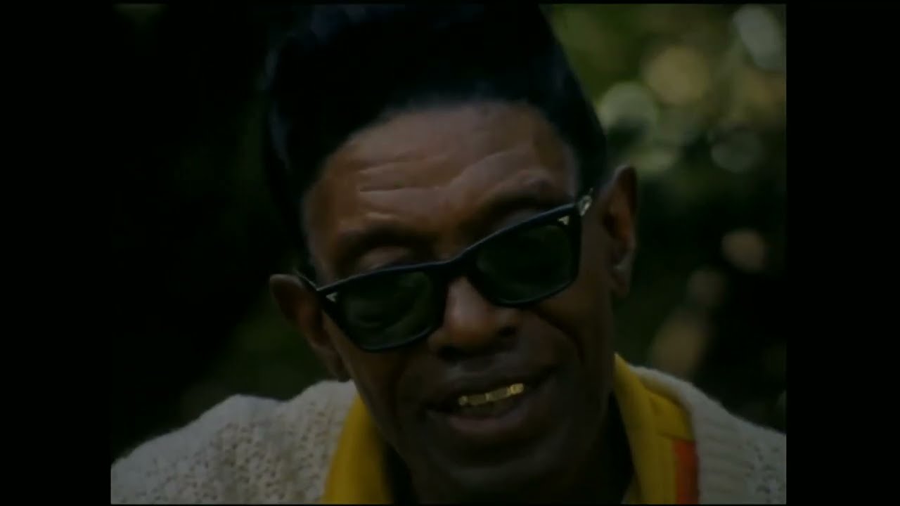 Lightnin Hopkins & Billy Bizor .