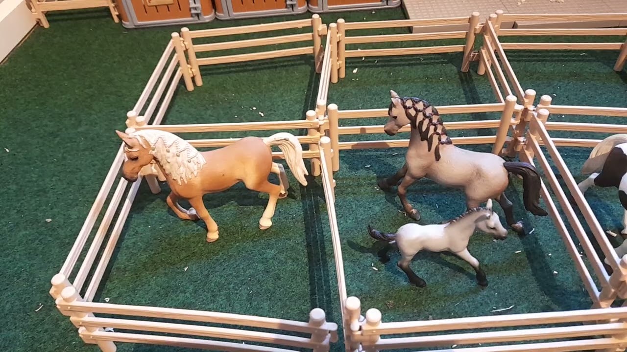 Schleich hofftour und pferd ab in deine box 
