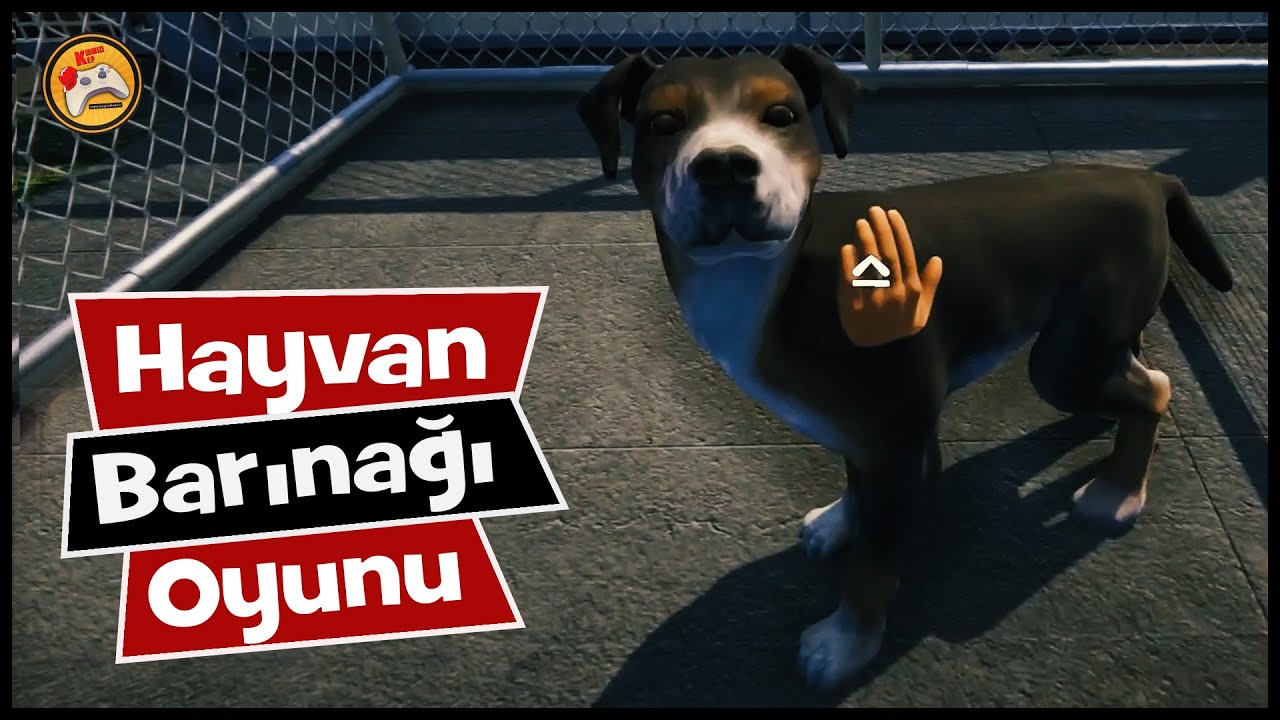 HAYVAN BARINAĞI KURDUK 🐶🐱 Animal Shelter - Türkçe (İlk Bakış)