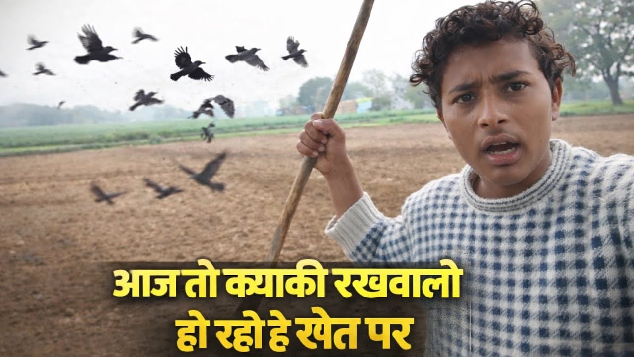🔥Aaj to khet per chidiyon ki rakhvali ho rahi hai🔥#youtubeshorts #india #trending #funny 