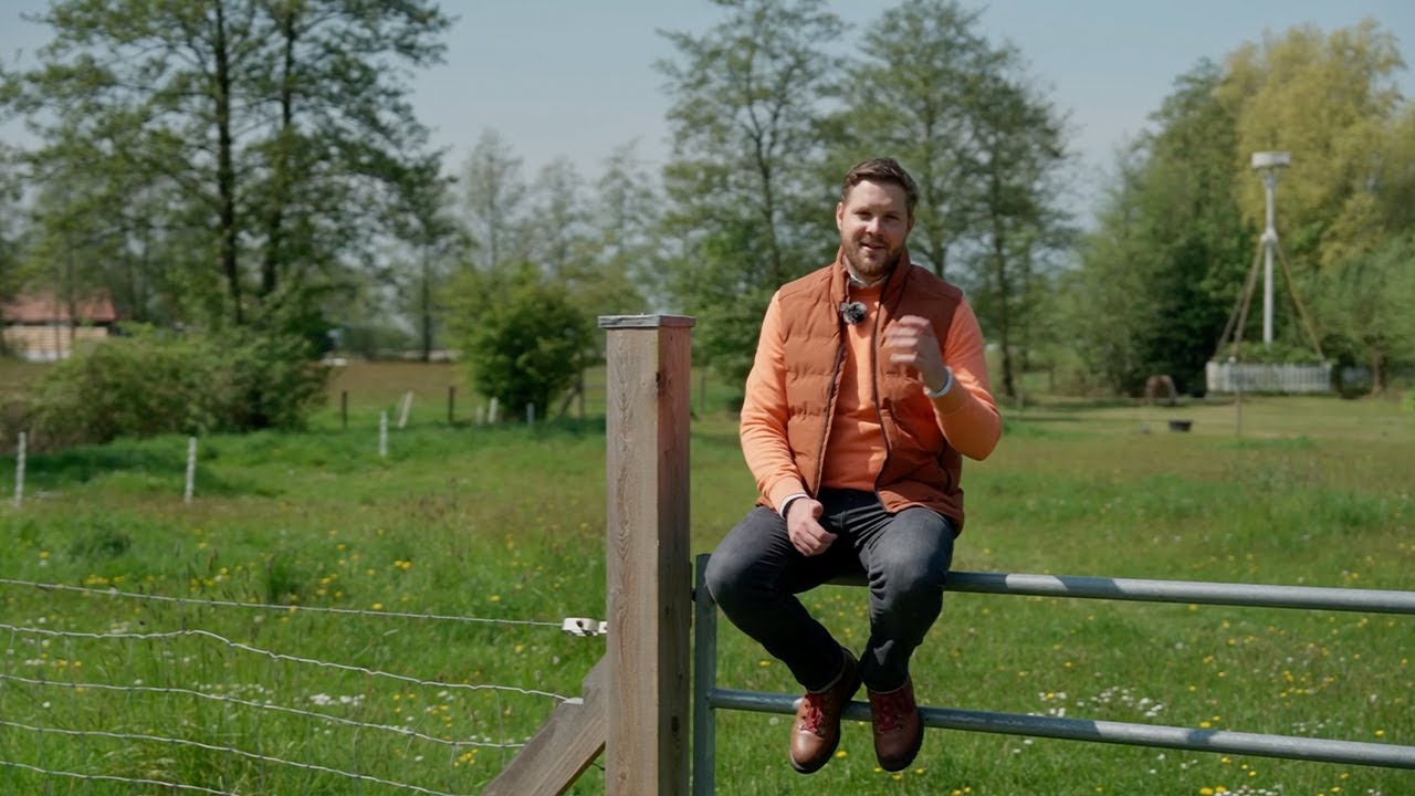 #VIDEO | Bumawei 23 Westergeast - 🌿🐎 In het oog springende kop-hals-rompboerderij