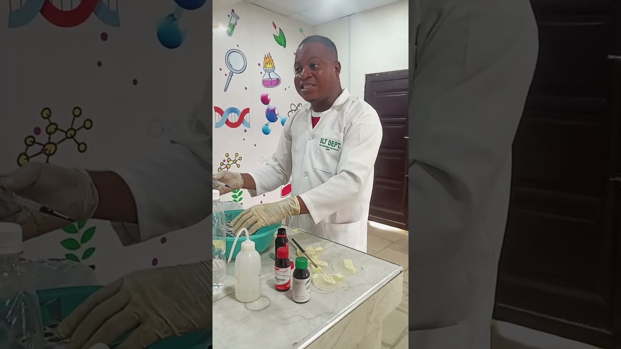 Gram Staining: Practical Class With My Students 
