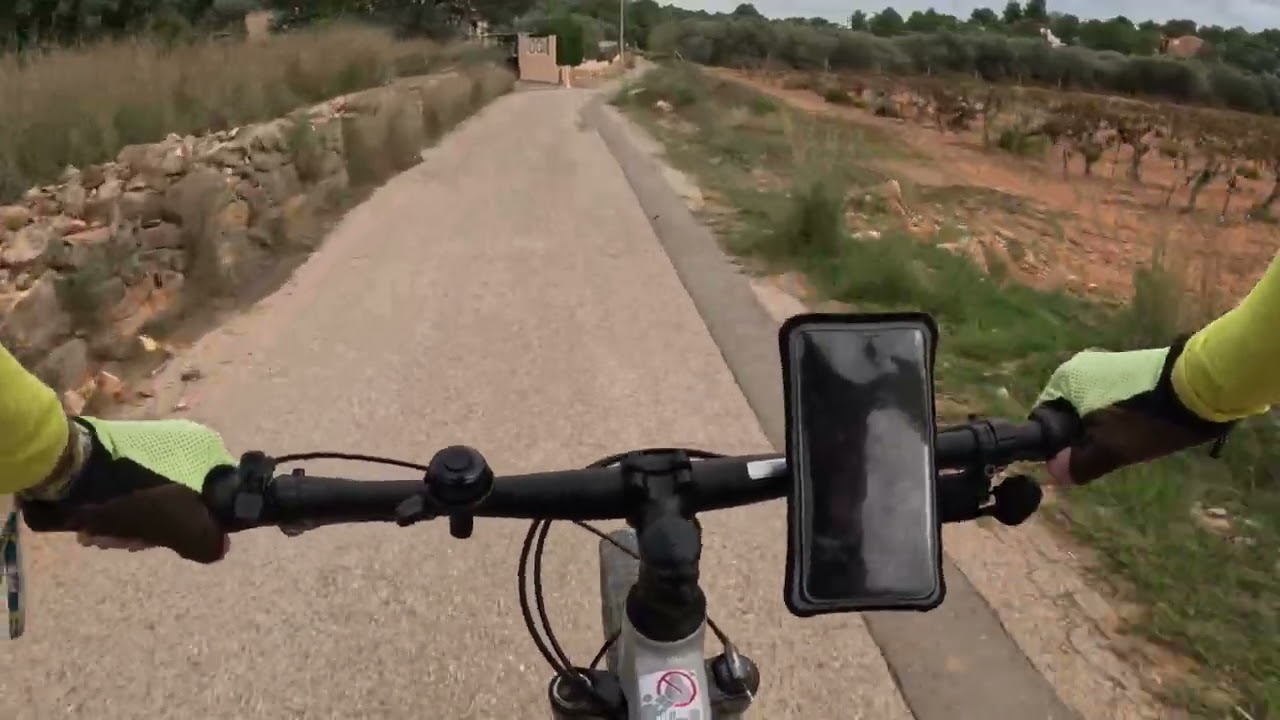 Bajada de la Pedrera del Rei