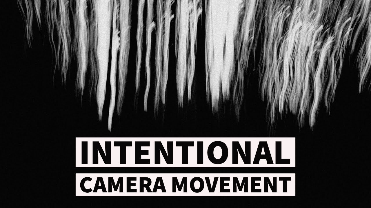 Intentional Camera Movement (ICM) in the woods of Portland