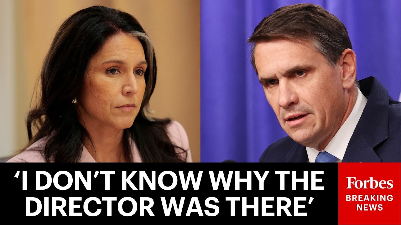 Reporter Asks Deputy AG: Are You Unhappy That Tulsi Gabbard Was At GA Election Center FBI Search?