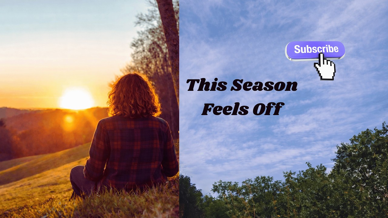 Career & Life Transitions Are Weird | You’re Not Alone