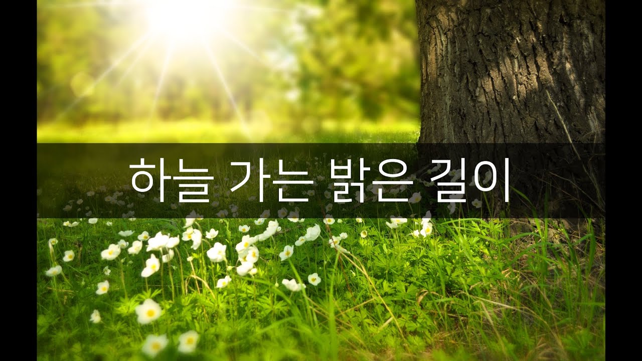 [치유의 찬양] 하늘 가는 밝은 길이 - 2018 상록오케스트라 찬송 (arr. Hyung Choon Dong)