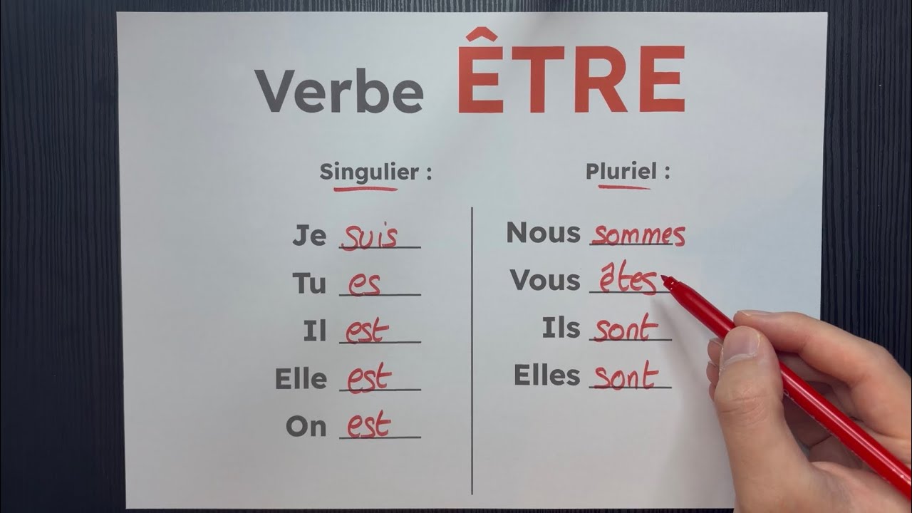 Conjugaison du verbe ÊTRE au présent de l'indicatif avec des exemples de phrases. (Niveau A1)