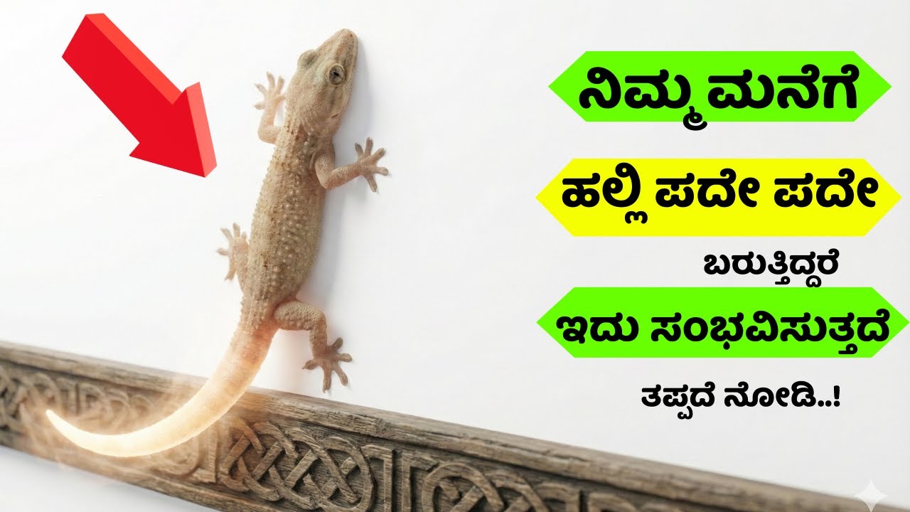 ನಿಮ್ಮ ಮನೆಗೆ ಹಲ್ಲಿ ಮತ್ತೆ ಮತ್ತೆ ಬರುತ್ತಿದೆಯಾ? ಹಲ್ಲಿ ಜ್ಯೋತಿಷ್ಯ ಹೇಳುವ ಶುಭ–ಅಶುಭ ಸೂಚನೆಗಳು!