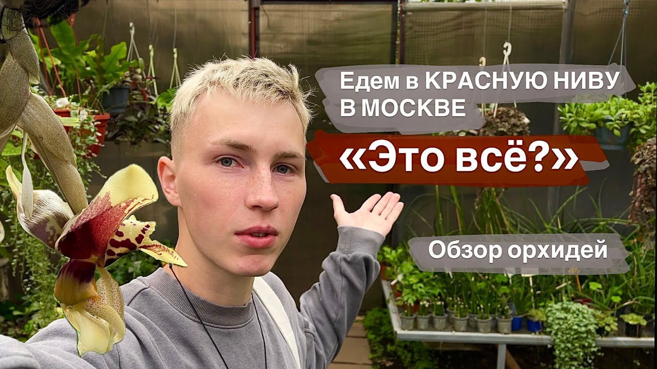 Самый короткий обзор орхидей в КРАСНОЙ НИВЕ🫰🏻