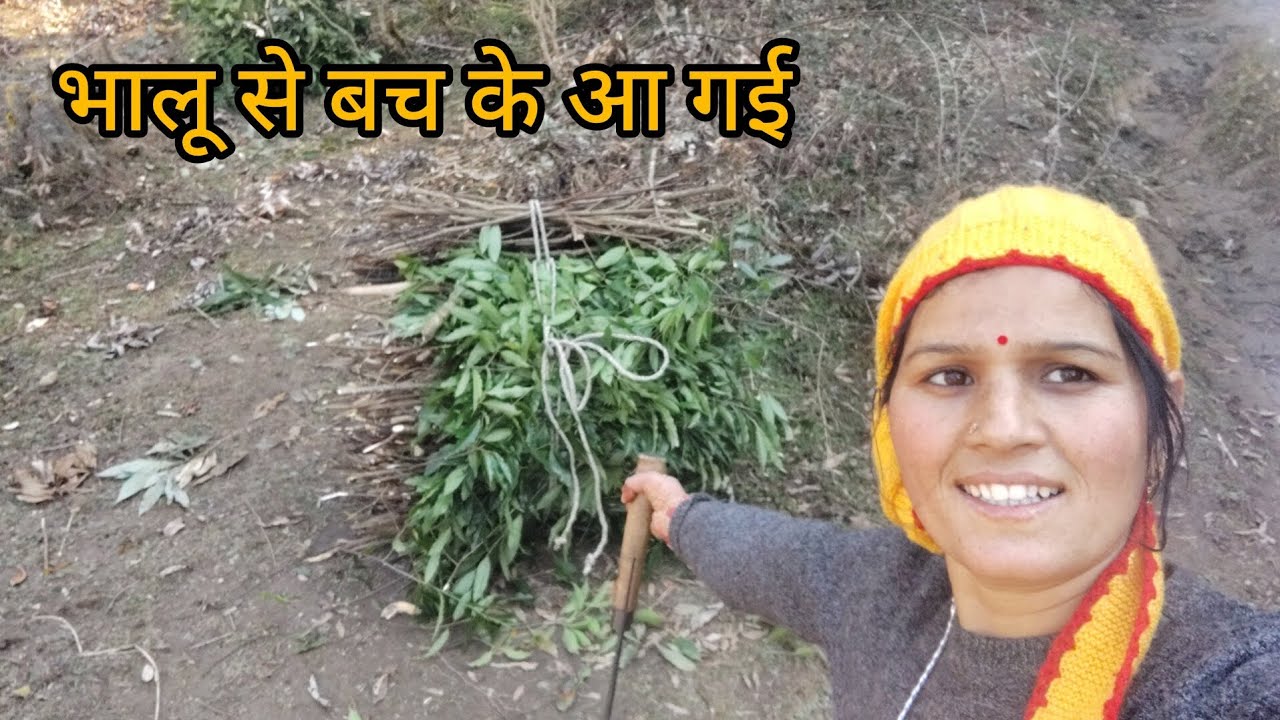 भालू का आतंक आज कल ऐसा😣#phadilifestyle केदार घाटी,उत्तराखंडll