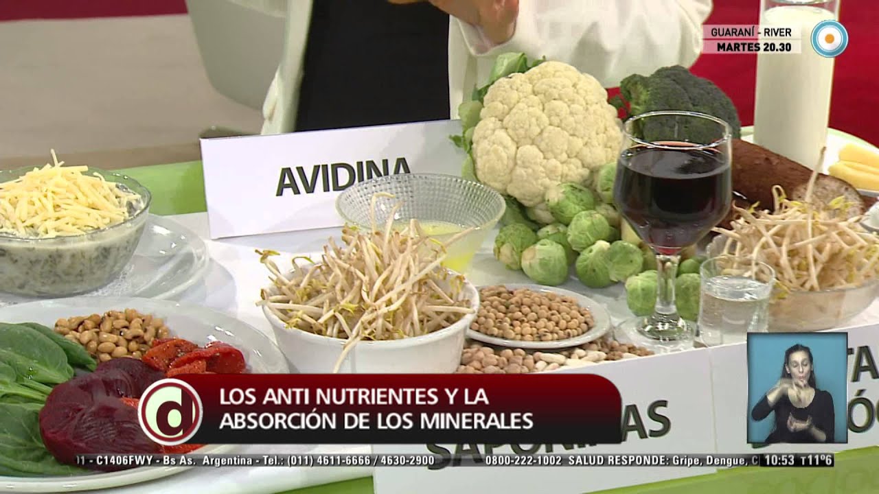 Red de salud - Absorción de nutrientes - 17-07-15
