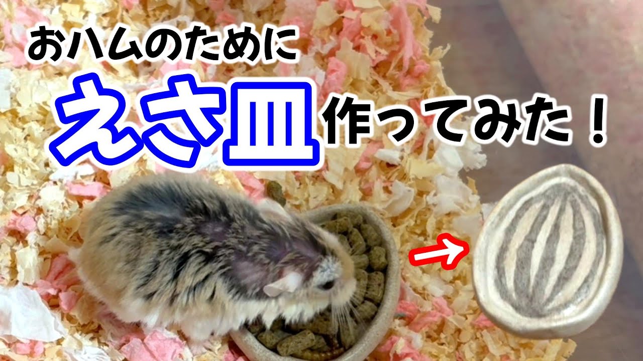 【ハムスター】バリアフリーの豆皿を作ってみた！