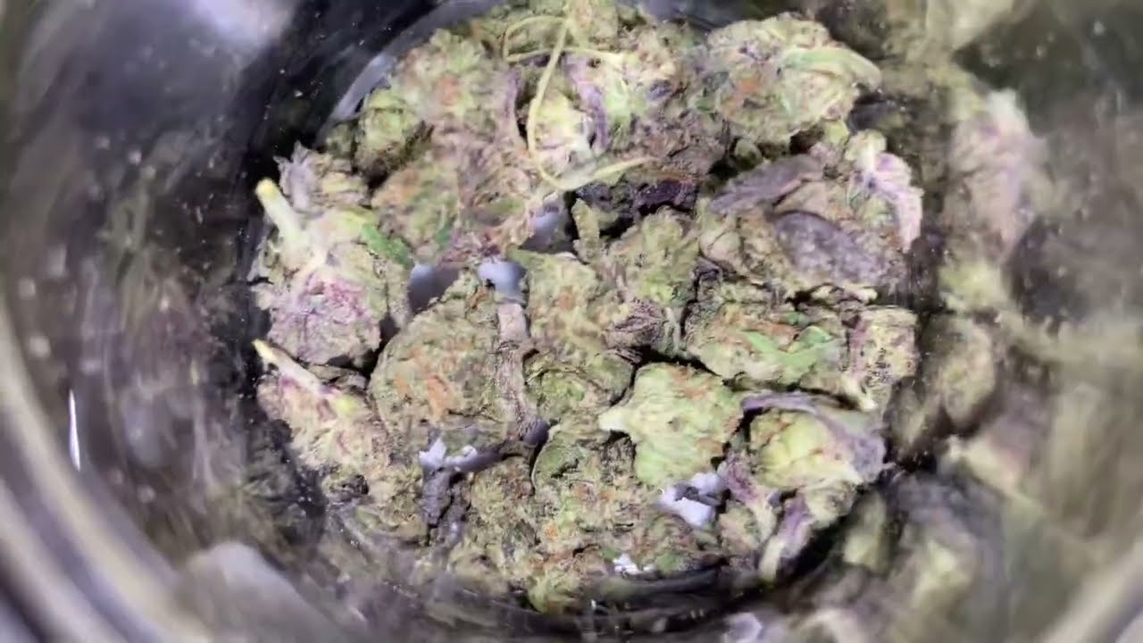 Purple Runtz! So green 🔬 Good look at nice pro grown budz!