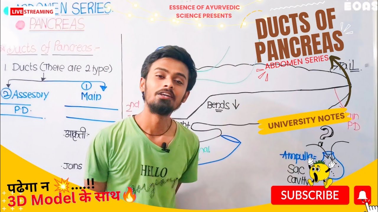 🎁PANCREAS ANATOMY with MODEL💥|▶️Abdomen💥|🌟DUCTS OF PANCREAS| Anatomy