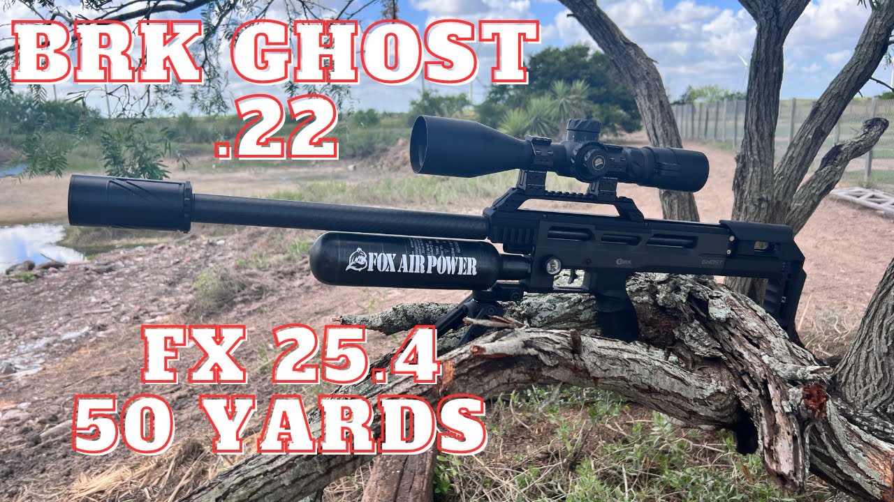 BRK GHOST .22 PROBANDO FX PELLETS 25.39 GR. @ 50 YARDS PEST CONTROL READY