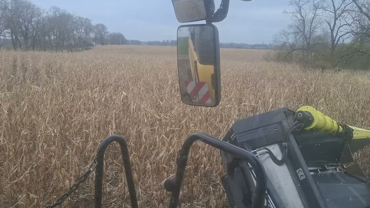 Koszenie kukurydzy 15.04.2026 kws odmiana 14.7 wilgotnosc