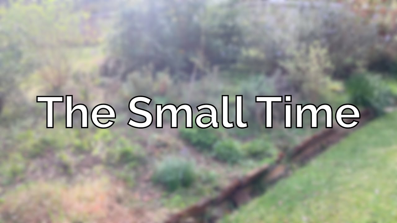 Vlog 197: Getting The Garden In Order & Taking Care Of Vita When We're Away.